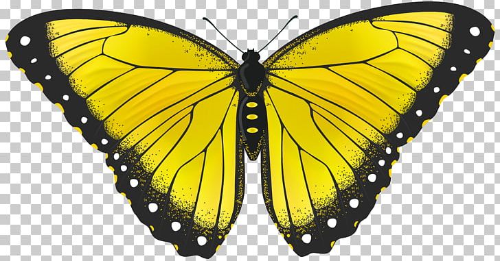 Monarch Butterfly Yellow PNG, Clipart, Animal, Arthropod, Blog, Brush Footed Butterfly, Butterfly Free PNG Download