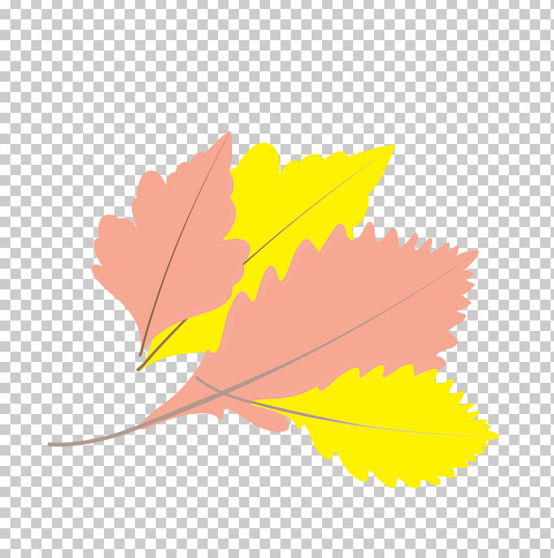 Maple Leaf PNG, Clipart, Autumn Leaf, Cartoon Leaf, Fall Leaf, Flower, Leaf Free PNG Download