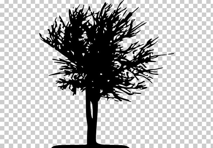 Twig Silhouette Black And White PNG, Clipart, Animals, Black And White, Branch, Flower, Flowering Plant Free PNG Download