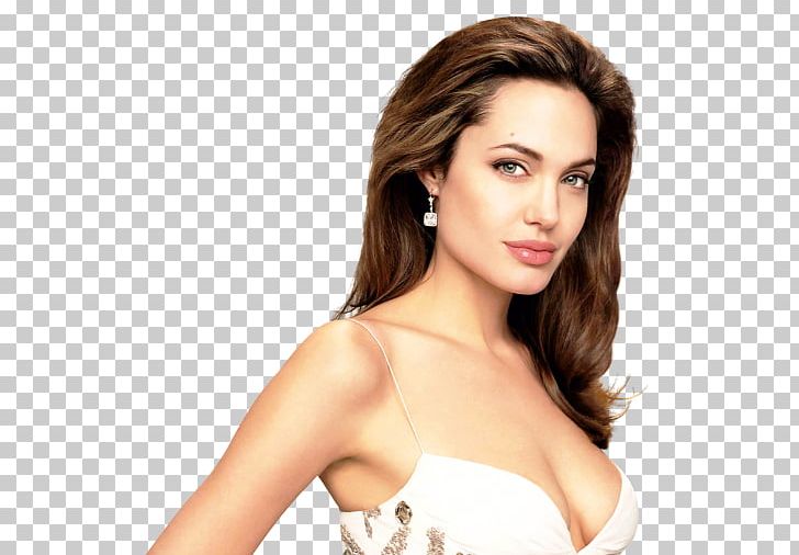 Angelina Jolie Lara Croft: Tomb Raider Celebrity PNG, Clipart, Angelina Jolie, Beauty, Black Hair, Brad Pitt, Brown Hair Free PNG Download