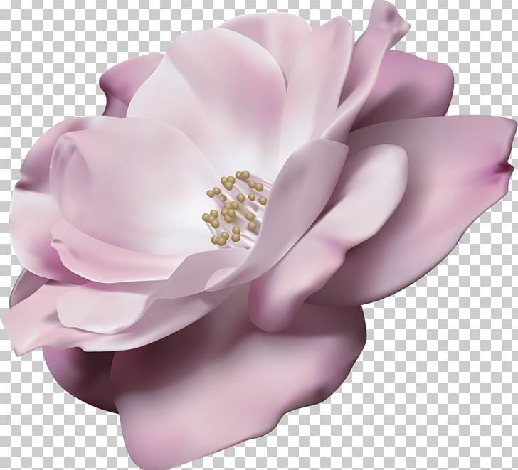 Computer Software Adobe Animate Adobe Systems Portable Document Format PNG, Clipart, Adobe After Effects, Adobe Creative Suite, Animation, Cut Flowers, Default Free PNG Download