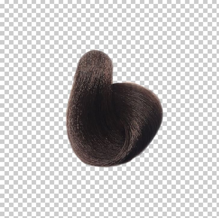 Cosmetics Brush Mahogany Paint Synergy University PNG, Clipart, Art, Black, Brown, Brush, Chestnut Free PNG Download