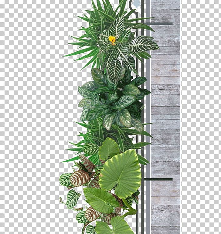 Green Wall Flowerpot Green Roof Garden PNG, Clipart, Architecture, Ceiling, Construction, Evergreen, Facade Free PNG Download