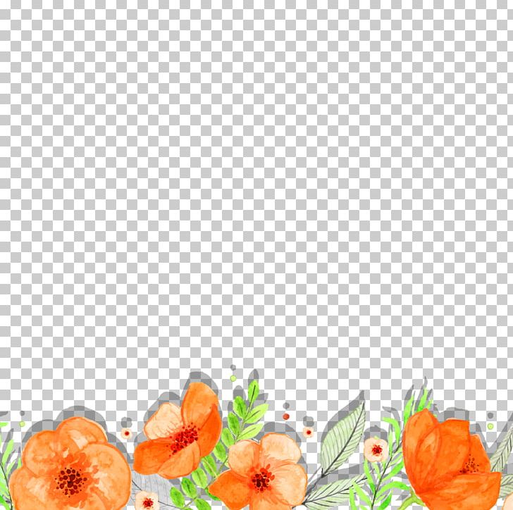 Orange Green Computer File PNG, Clipart, Adobe , Botany, Color, Decorate, Diagram Free PNG Download