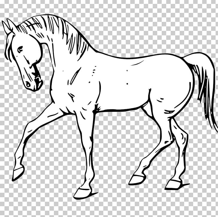 Tennessee Walking Horse Drawing PNG, Clipart, Bridle, Dressage, Head, Horse, Horse Like Mammal Free PNG Download