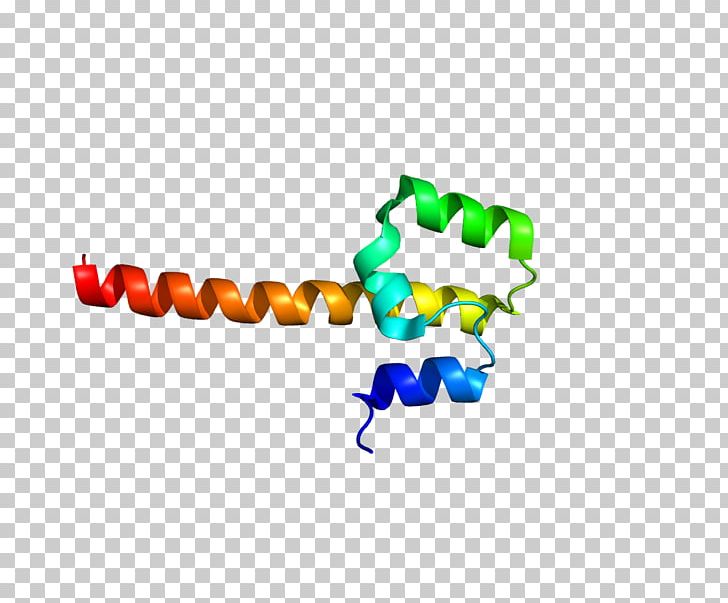 NFE2 BZIP Domain Protein Transcription Factor MAFF PNG, Clipart, Art, Bead, Body Jewelry, Bzip Domain, Crebbinding Protein Free PNG Download
