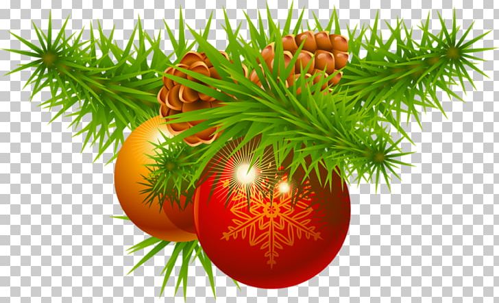 Christmas Decoration Christmas Ornament Santa Claus Christmas Tree PNG, Clipart, Branch, Christmas, Christmas Card, Christmas Decoration, Christmas Lights Free PNG Download