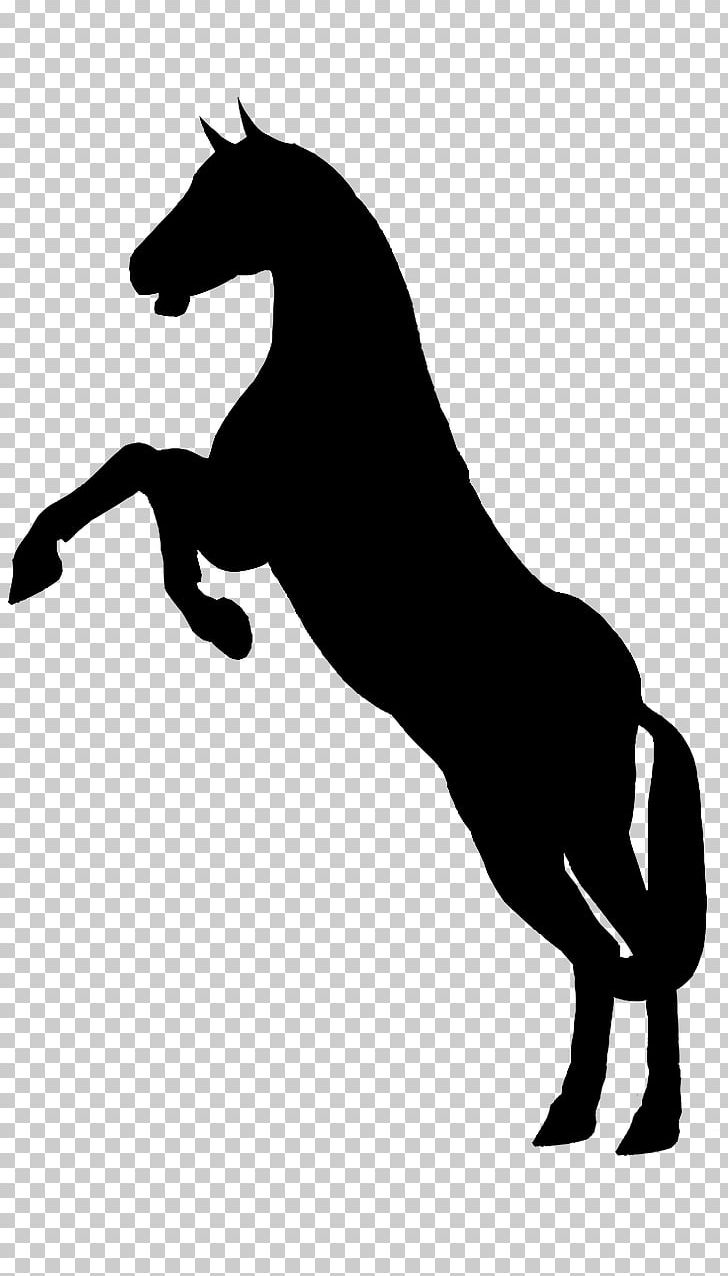 Horse Stallion Rearing PNG, Clipart, Animal, Animals, Black, Black And White, Collection Free PNG Download
