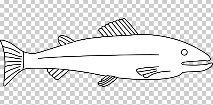 Fish Drawing PNG, Clipart, Angle, Animals, Ausmalbild, Automotive Design, Black And White Free PNG Download