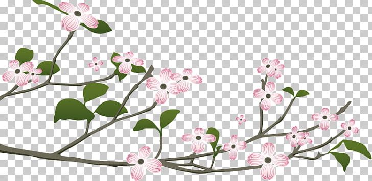 Floral Design Flowering Dogwood Cornelian Cherry Cornus Sanguinea PNG, Clipart, Art, Best Design, Blossom, Botany, Branch Free PNG Download