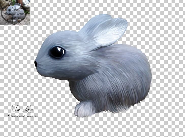 Hare Domestic Rabbit Pet Animal PNG, Clipart, Animal, Animals, Domestic Rabbit, Fauna, Hare Free PNG Download