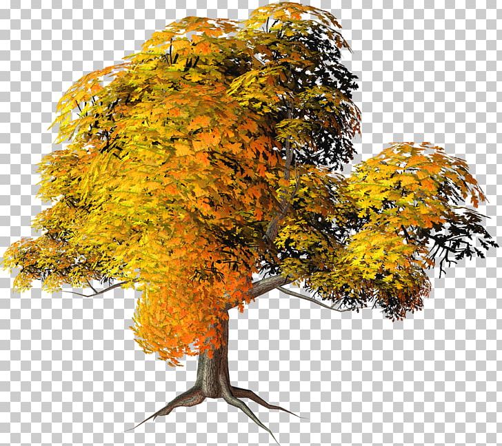 Tree Yellow PNG, Clipart, Autumn, Autumn Leaf Color, Branch, Clip Art, Color Free PNG Download