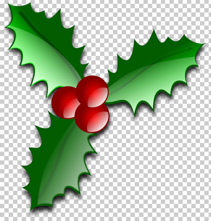 Common Holly Christmas Tree Leaf PNG, Clipart, Advent Candle, Advent Wreath, Aquifoliaceae, Aquifoliales, Christmas Free PNG Download