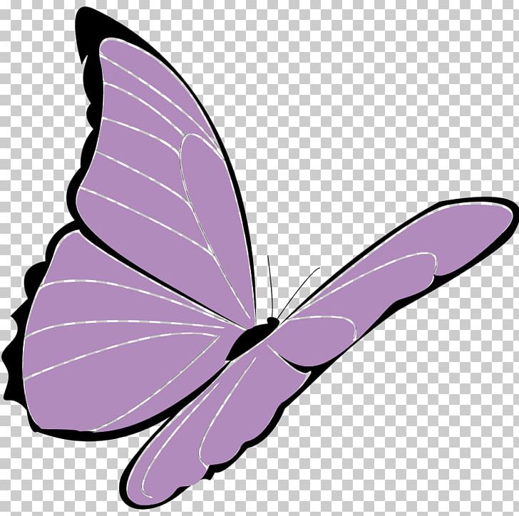 Purple Blue Brush Footed Butterfly PNG, Clipart, Blue, Brush Footed Butterfly, Butterfly, Color, Document Free PNG Download