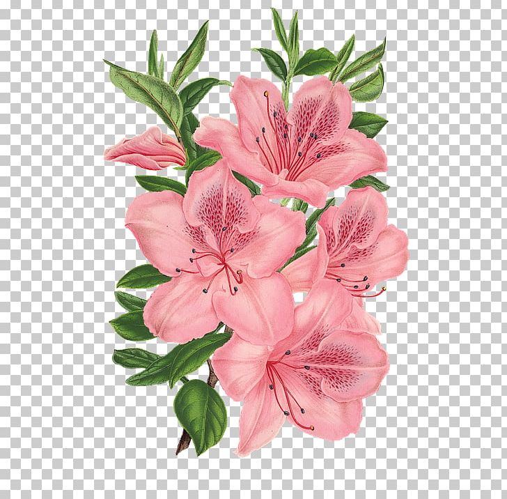 Pink Bunch Drawing Pink Flowers PNG, Clipart, Alstroemeriaceae, Azalea, Bunch, Bunch Of Flowers, Cut Flowers Free PNG Download
