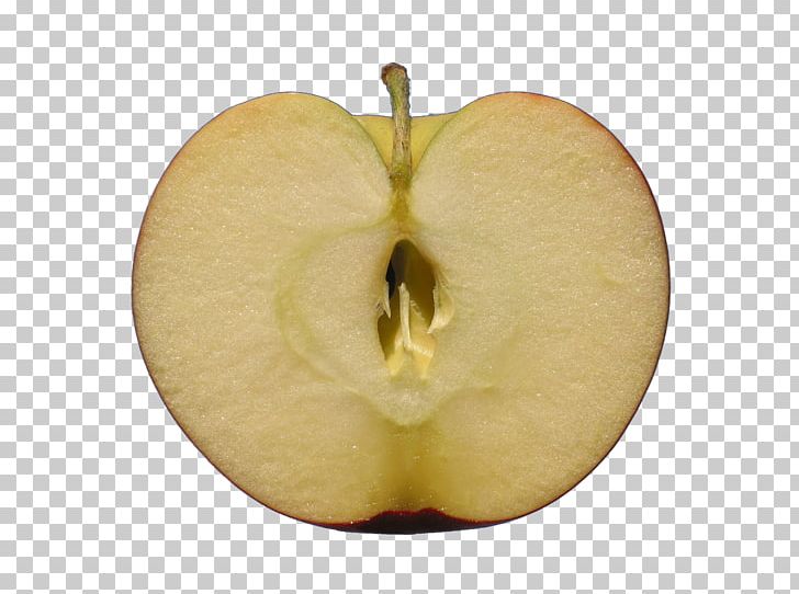 Apple Icon PNG, Clipart, Apple, Apple Fruit, Apple Logo, Apples, Apple Tree Free PNG Download