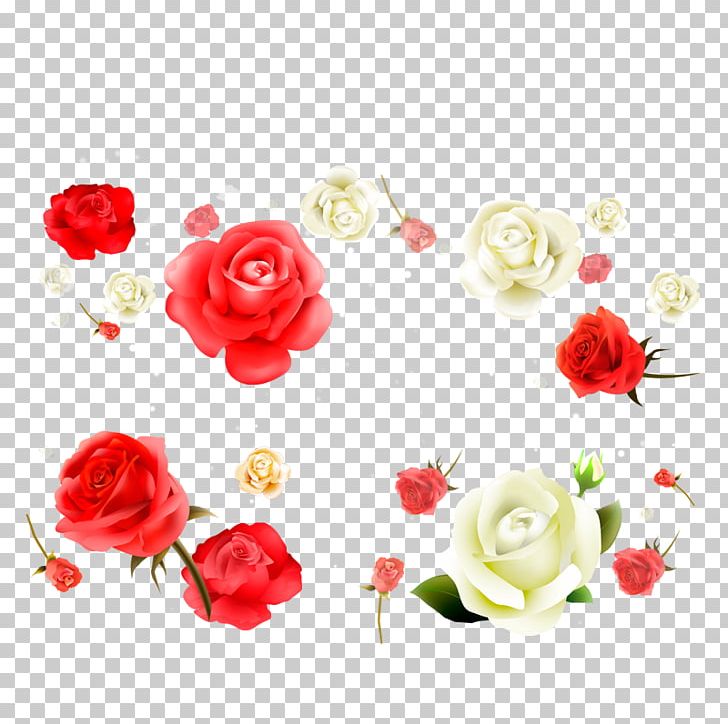 Beach Rose Flower White Red Petal PNG, Clipart, Artificial Flower, Black, Bloom, Cut Flowers, Float Free PNG Download