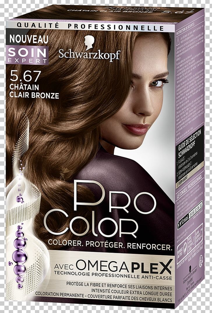 Chestnut Schwarzkopf Color Noisette Hair Permanents & Straighteners PNG, Clipart, Black, Blond, Brown, Brown Hair, Capelli Free PNG Download