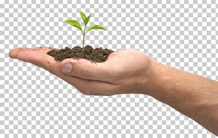 Plant Hand PNG, Clipart, Clip Art, Clipping Path, Computer Icons, Desktop Wallpaper, Display Resolution Free PNG Download