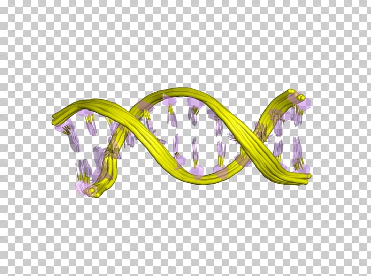 Sunglasses Logo Goggles PNG, Clipart, European Bioinformatics Institute, Eyewear, Glasses, Goggles, Lilac Free PNG Download