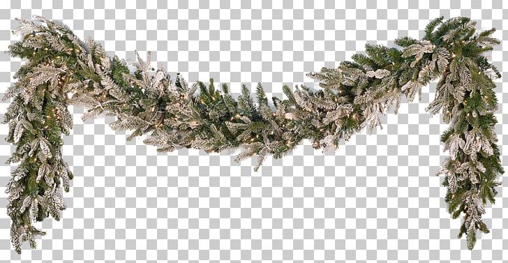 Garland PNG, Clipart, Branch, Christmas, Christmas Decoration, Christmas Tree, Conifer Free PNG Download