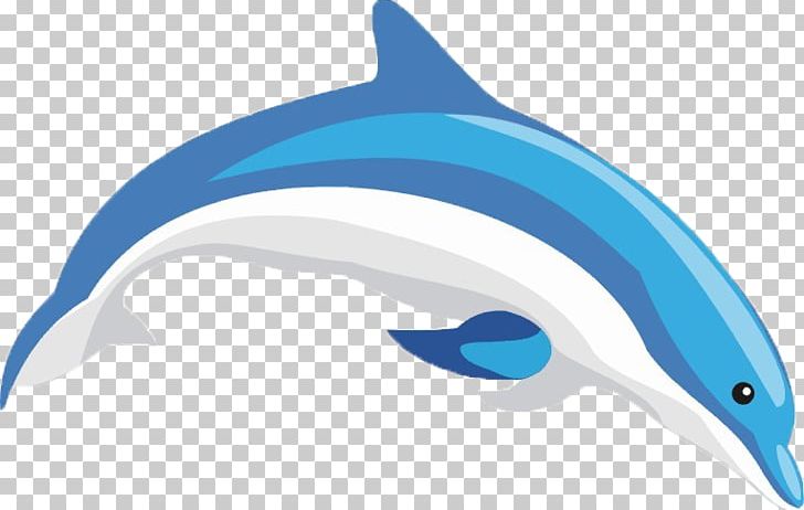 Common Bottlenose Dolphin Short-beaked Common Dolphin Tucuxi Porpoise PNG, Clipart, Animal, Animals, Anime Character, Anime Girl, Blue Free PNG Download