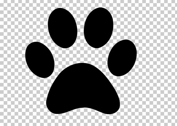 Cougar Dog Cat Paw PNG, Clipart, Animals, Apk, Bear, Black, Black And White Free PNG Download