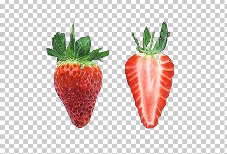 Strawberry Tart Watercolor Painting PNG, Clipart, Aed, Art, Berry, Botanical Illustration, Diet Food Free PNG Download