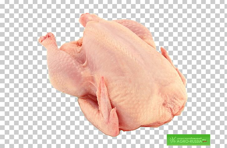 Broiler Chicken As Food Meat Flesh PNG, Clipart, Animal Fat, Animals, Animal Source Foods, Beef, Broiler Free PNG Download