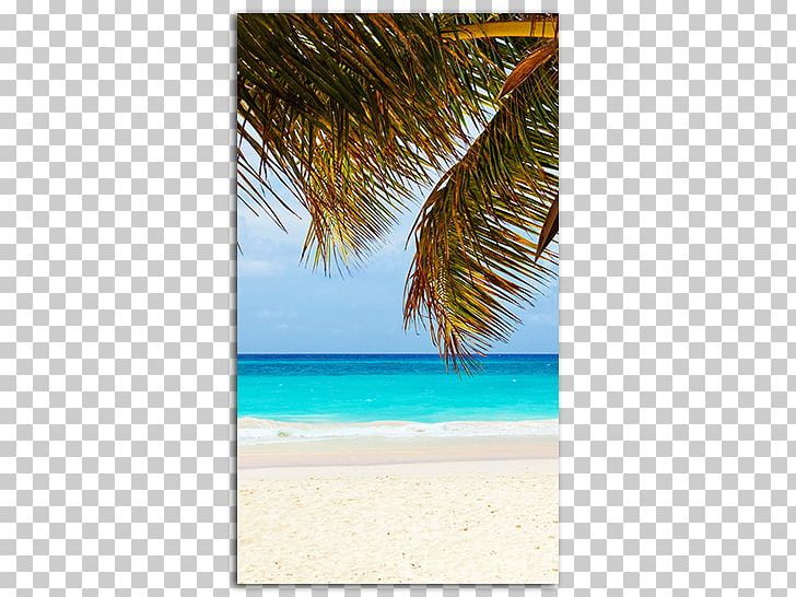 Caribbean Desktop Playa Del Carmen IPhone High-definition Television PNG, Clipart, Allinclusive Resort, Aqua, Caribbean, Caribbean Background Walpapper, Desktop Wallpaper Free PNG Download