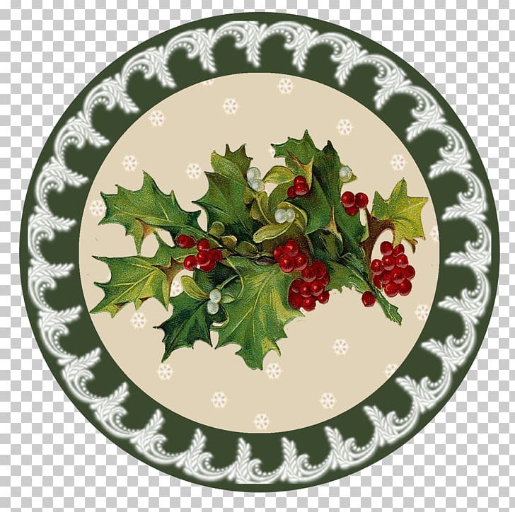 Christmas Day Graphics Reptile FX Studio PNG, Clipart, Animation, Aquifoliaceae, Aquifoliales, Art, Christmas Free PNG Download