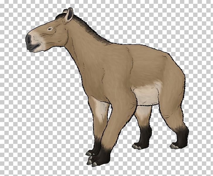 Mule Moropus Horse Pony PNG, Clipart, Animal, Animal Figure, Animals, Art, Desktop Wallpaper Free PNG Download