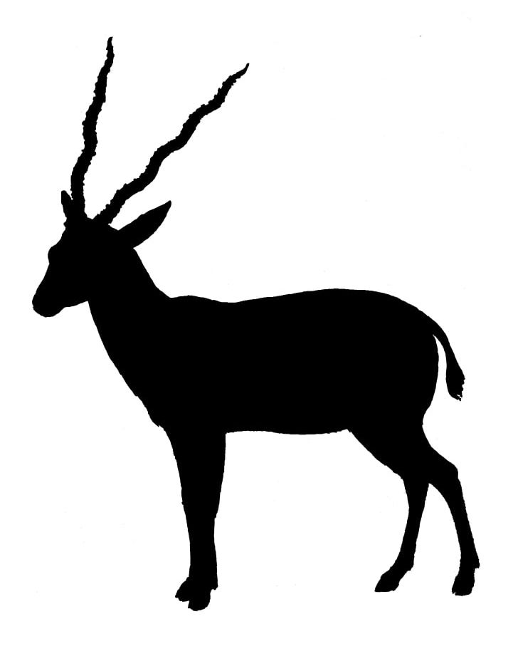 Antelope Gazelle Pronghorn Silhouette PNG, Clipart, Animal, Antelope, Antler, Black And White, Bongo Free PNG Download