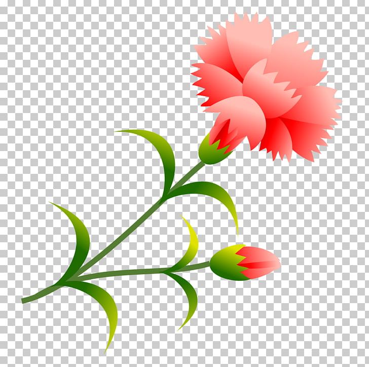 Carnation School Summer Vacation Flower Plant Stem PNG, Clipart,  Free PNG Download