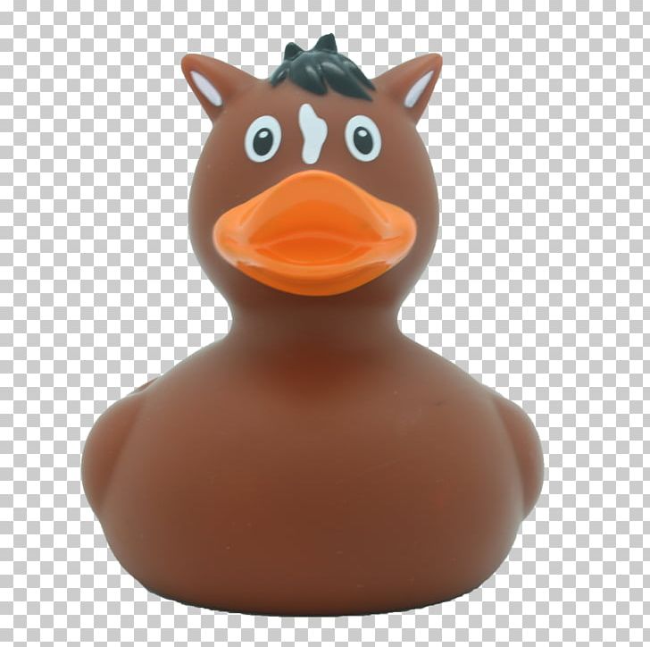 Rubber Duck Horse Domestic Duck Cat PNG, Clipart, Amazonetta, Animal, Animals, Bath, Beak Free PNG Download