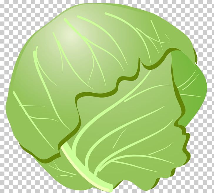 Savoy Cabbage Bento Vegetable PNG, Clipart, Bento, Bok Choy, Brassica Oleracea, Cabbage, Circle Free PNG Download