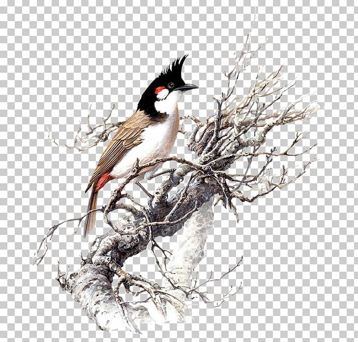Winter Birds PNG, Clipart, Asuka, Bird, Birds, Bleak, Branch Free PNG Download
