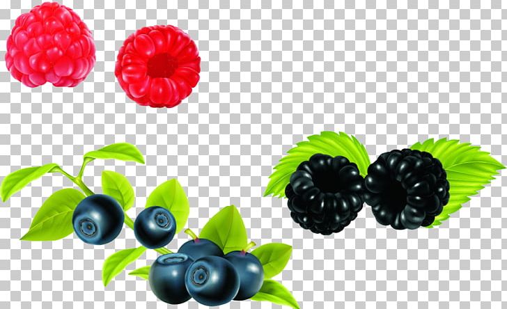 European Blueberry Bilberry PNG, Clipart, Bilberry, Blueberry, Cartoon, Cartoon Character, Cartoon Eyes Free PNG Download