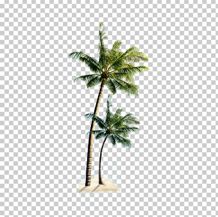 Playa Verde Beach Villa Praia Do Coqueiro PNG, Clipart, Avalon Waterways, Beach, Boutique Hotel, Christmas Tree, Coconut Free PNG Download