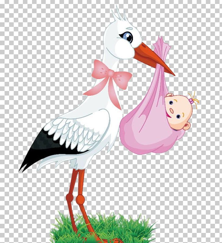 White Stork Infant Child PNG, Clipart, Animals, Art, Baby Shower, Beak, Bird Free PNG Download