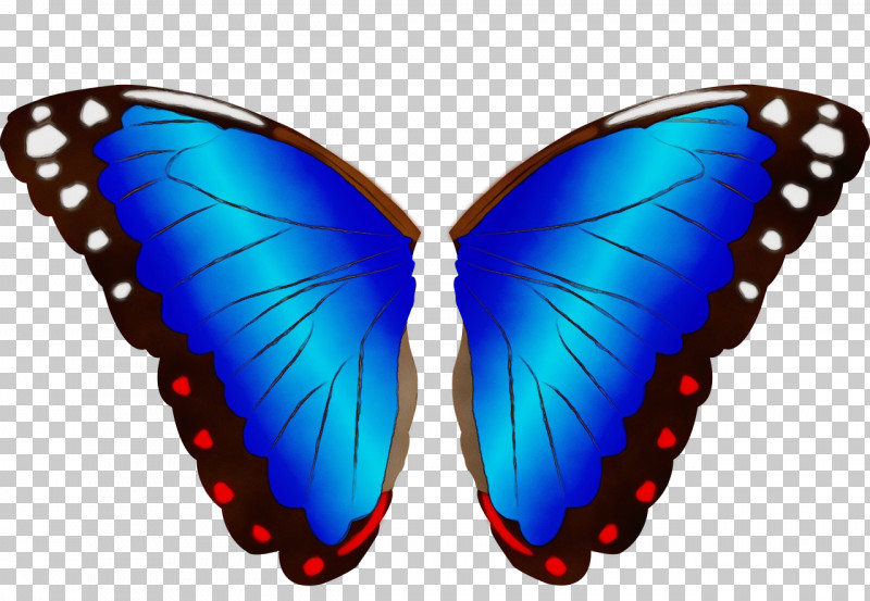 Butterflies Insect Insect Wing Blues Wing PNG, Clipart, Blues, Brushfooted Butterflies, Butterflies, Gossamerwinged Butterflies, Insect Free PNG Download