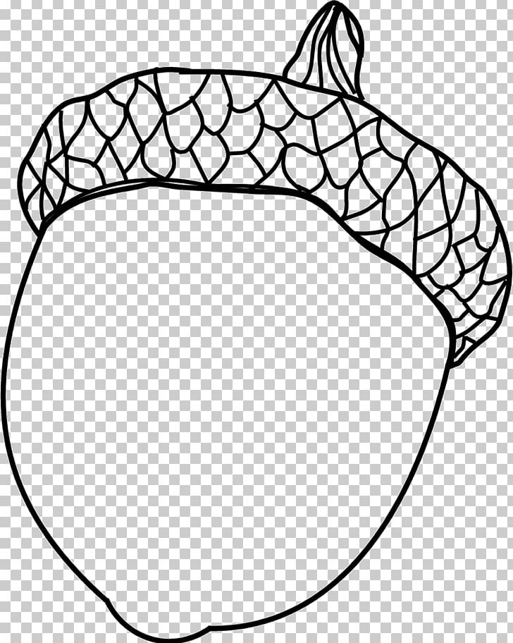 Drawing Coloring Book Acorn Painting PNG, Clipart, Acorn, Adult, Area, Black, Black And White Free PNG Download