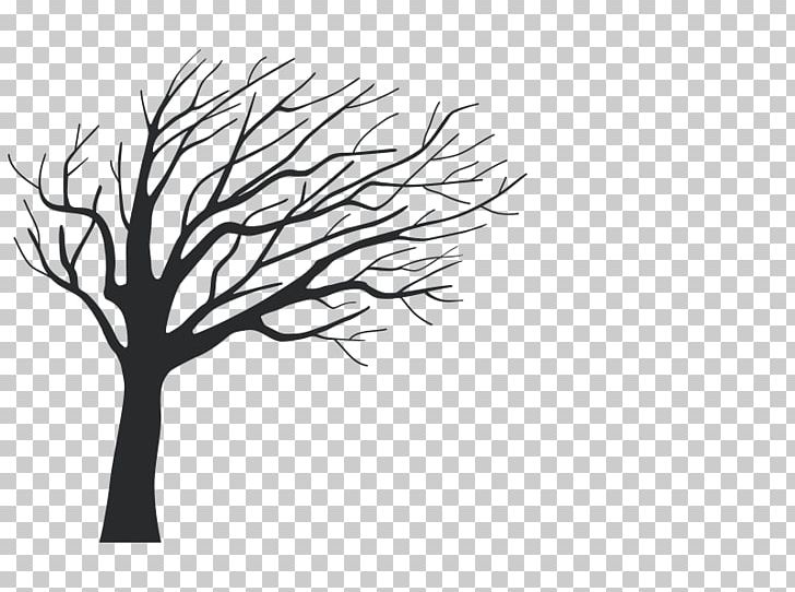 Twig Wall Decal Tree Branch Foil PNG, Clipart, Birch, Black And White, Branch, Color, Computer Wallpaper Free PNG Download