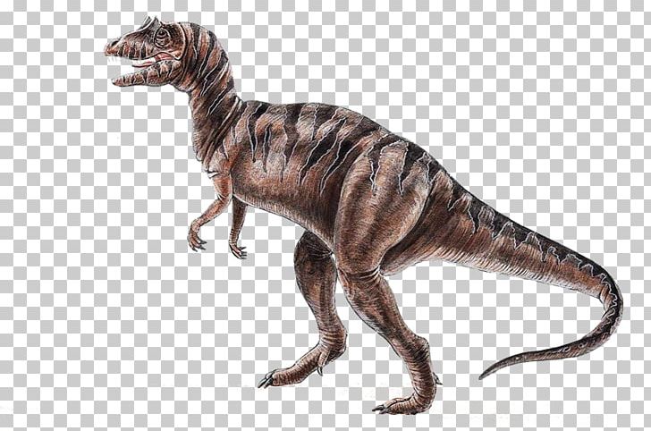 Velociraptor Dinosaur Tyrannosaurus Animal 恐龍化石 PNG, Clipart, Animal, Animal Figure, Dinosaur, Dinosaurs, Extinction Free PNG Download