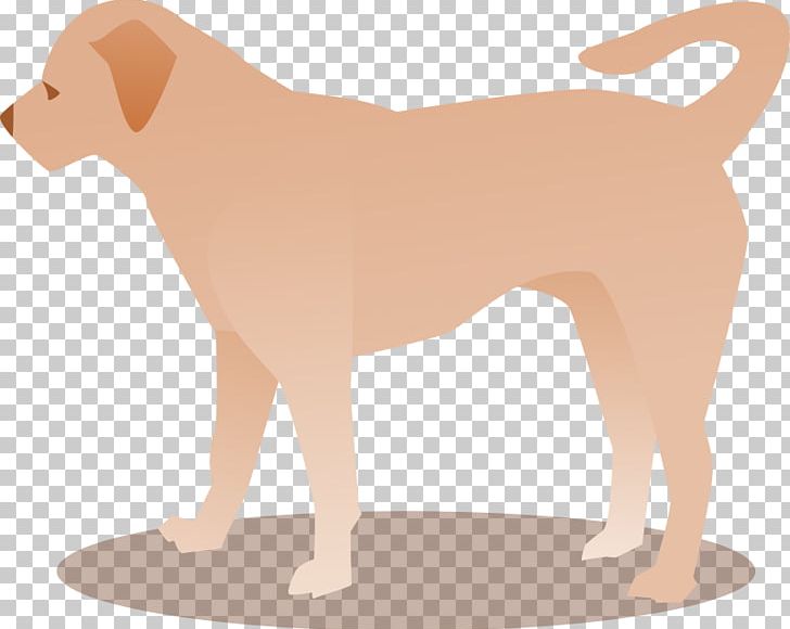 Dog Breed Puppy Sporting Group Companion Dog PNG, Clipart, Bark, Breed, Breed Group Dog, Carnivoran, Collar Free PNG Download
