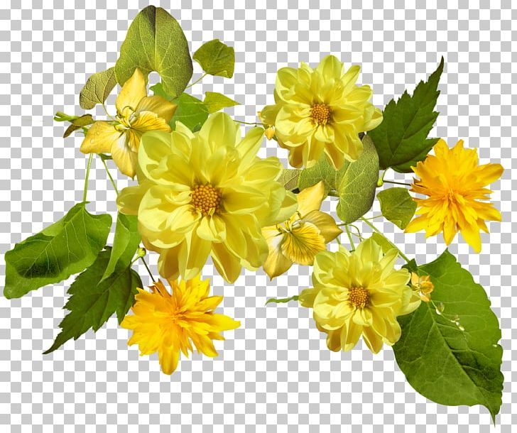 Flower Yellow Color PNG, Clipart, Annual Plant, Black, Cicek, Cicek Resimleri, Color Free PNG Download