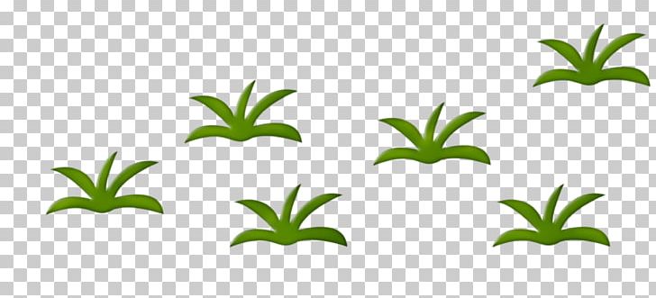 Herbaceous Plant Drawing Animation PNG, Clipart, Animation, Artwork, Domestic Animal, Drawing, Flower Free PNG Download
