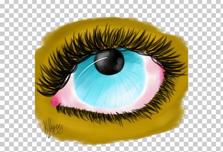 Iris Eyelash Extensions PNG, Clipart, Alpaca, Art, Artist, Closeup, Community Free PNG Download