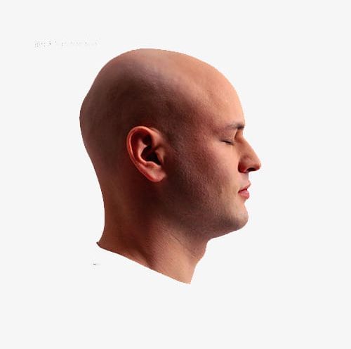 Man Side Face PNG, Clipart, Adult, Bald, Bald Head, Closed, Completely Bald Free PNG Download