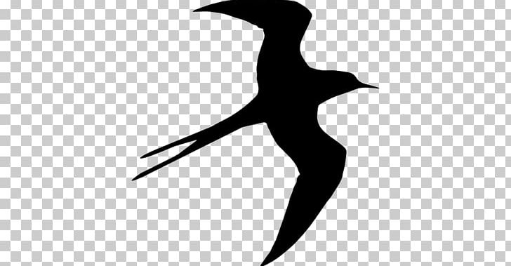 Silhouette Bird Swallow Beak Drawing PNG, Clipart, Animals, Barn Swallow, Beak, Bird, Black And White Free PNG Download